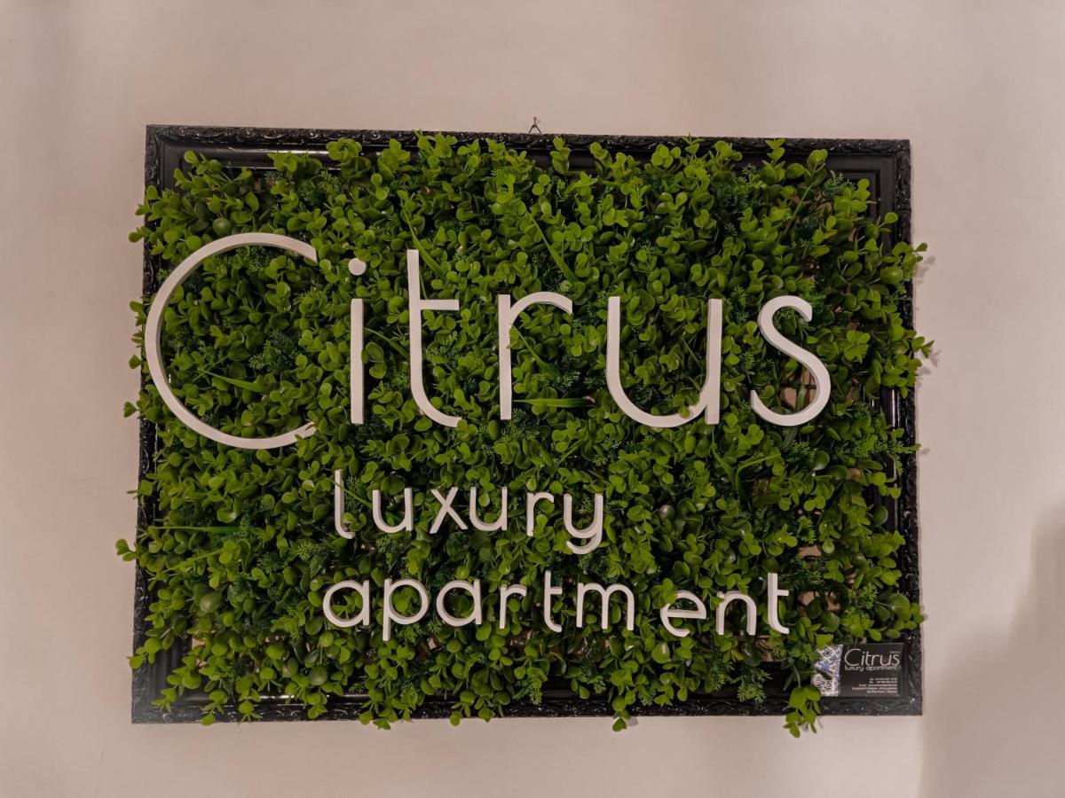 Citrus Luxury Apartment - Holiday Apartment With Up To 3 Bedrooms In Palermo Center Exterior photo